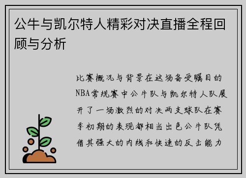公牛与凯尔特人精彩对决直播全程回顾与分析